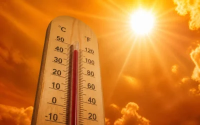 Canicula a ucis 1.000 de oameni in Franta. Ce urmeaza pentru romani de luni