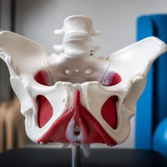 Semnele slăbirii planșeului pelvin pot afecta controlul urinar și calitatea vieții