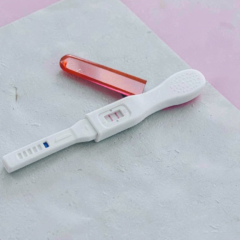 O genă identificată la Universitatea Monash ar putea prelungi viața reproductivă feminină