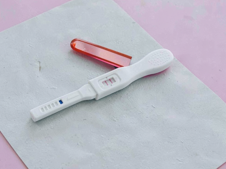 O genă identificată la Universitatea Monash ar putea prelungi viața reproductivă feminină