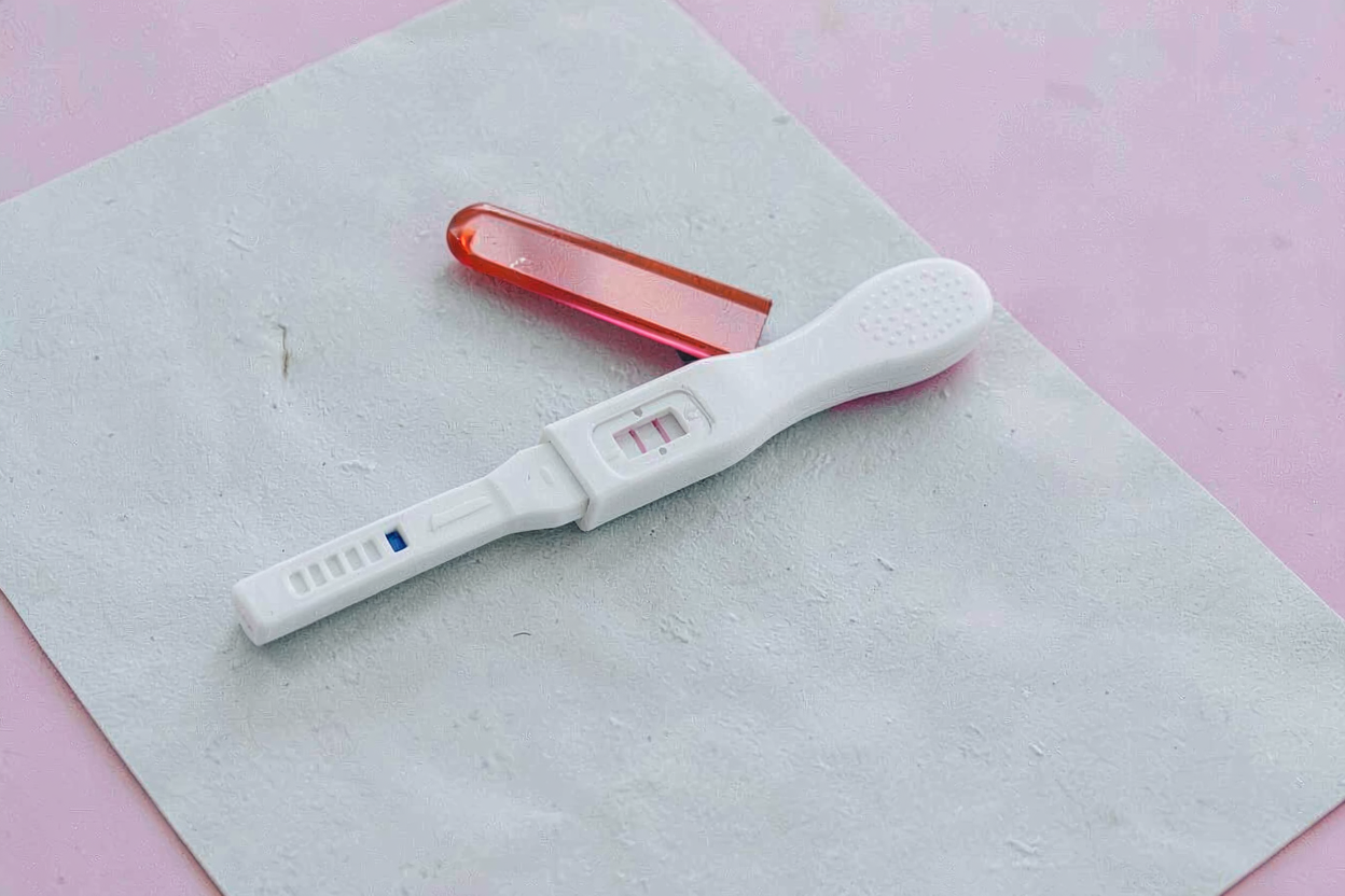 O genă identificată la Universitatea Monash ar putea prelungi viața reproductivă feminină