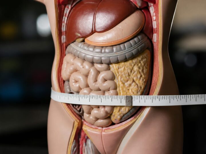 Un antrenament de 20 de minute poate reduce grăsimea abdominală profundă